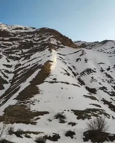 شنیدی می‌گن: 