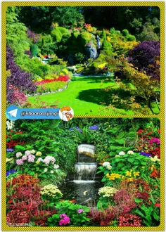زیباترین باغ جهان بنام Butchart "بوچارت"/این باغ در جزیره
