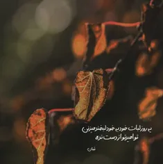 #خاص #عکس_نوشته #تکست_ناب