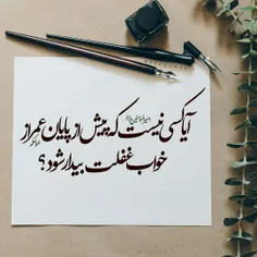 امیرالمؤمنین علی ع :