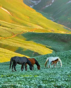 *♦️جواهردشت، گیلان*