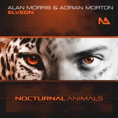 دانلود آهنگ الکترونیک جدید از Alan Morris & Adrian Morton