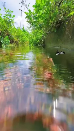 "آرامش، از جایی شروع می‌شود که یاد می‌گیری مسئول زندگی دی