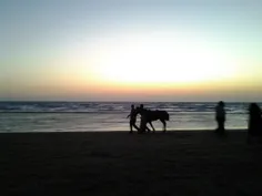 بازم نمایی از مسافرت گذشته 