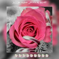 تقدیم به داداش مجید عزززیز 🌹 🌹 🌹 🌹 🌹 🌹 