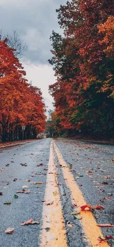 والپر جاده عشق