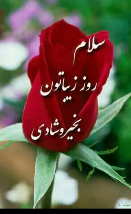 عکس نوشته prpr360 16174541 - عکس ویسگون