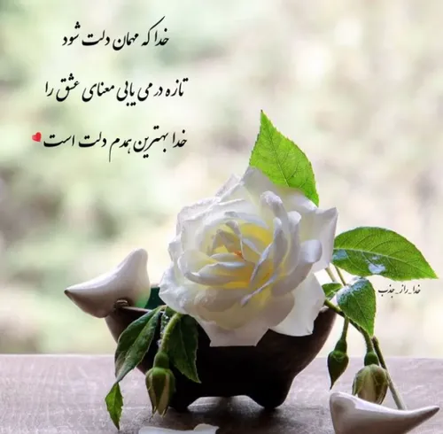 خدا که مهمان دلت شود، تازه در می یابی معنای عشق را