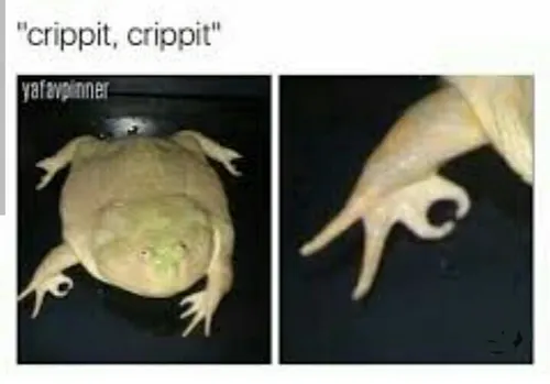 crippit . crippit