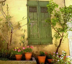 🌿🍃 کسی که