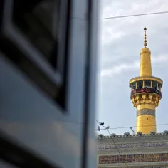 می‌شوم در مرقدت #مهمان، نگاهی کن به من 