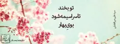 تو هستی و همین