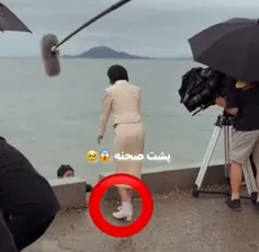#وقتی_زندگی_بهت_نارنگی_میده