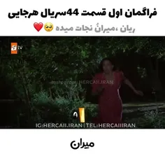 #هرجایی