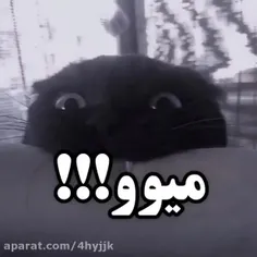 شتتتت😂