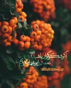 🌹 قرآن کریم - سوره ابراهیم - آیه 7 🌹