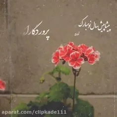 آخرین پست امسالم تقدیم به همه دوستان مجازی ام🌷🪴