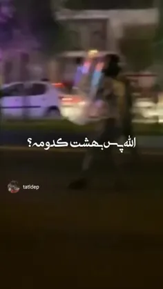 چرا اسمتو وسط پرچم قاتل آزادی زده🚶🇮🇷؟؟