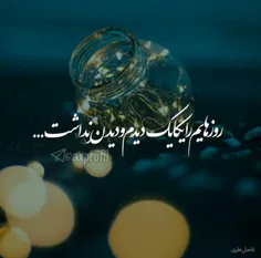 روزهایم را یکایک دیدم،دیدن نداشت..