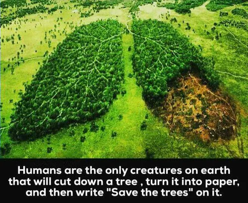 انسانها تنها موجوداتی در زمین هستن