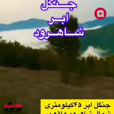 جنگل ابر _ شاهرود