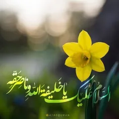 🌺سلام مولای ما.... مهدی جان....♥️