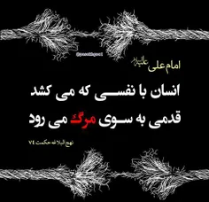 #امام علے علیہ السلام مےفرمایند:‌ ‌انسان با نفسے ڪہ مےڪشد