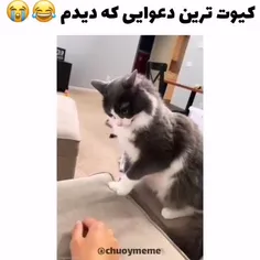 من با سگم اینجوریم خیلی پررو😐😂😂🤣🤣🤣🤣😍😐😂 الان نیست دلم براش