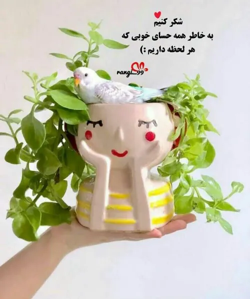 شکرگزاری ...❤🌱