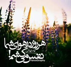 به یمن طلــــــــــــو؏ــی  تازه