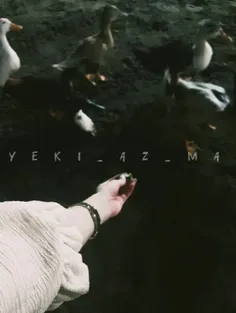 اگر خداوند فقط تکه‏ ای از زندگی به من می‏بخشید، ساده لباس