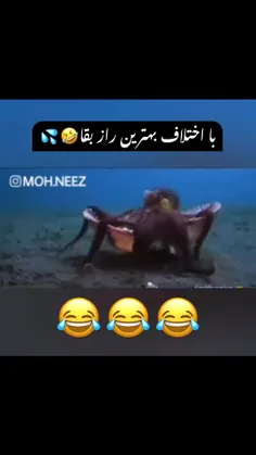 رازبقا😂