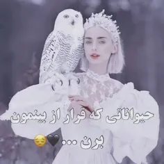 واییی ای کاش از بین نرن 😢