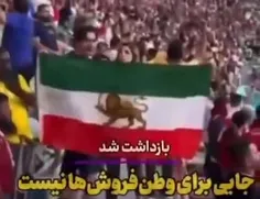 فردی که پرچم قاجار رو اورده بود استادیوم به گونی هدایت شد
