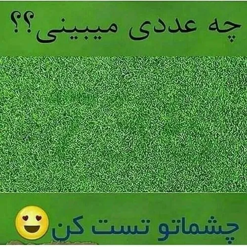 تست بینایی چه عددی رو در تصویر میبینید عمرت بلد باشین🤣