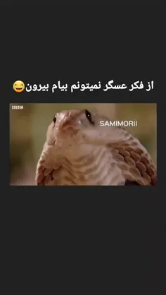 هرکی ماجرای مارها و عسگرو میدونه این کلیپ رو درک میکنه 😂