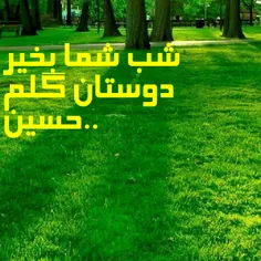 سلام شب بخیر ❤ 💚 ❤