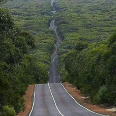 جاده عجیب غریب در جزیره کانگورو در استرالیا
