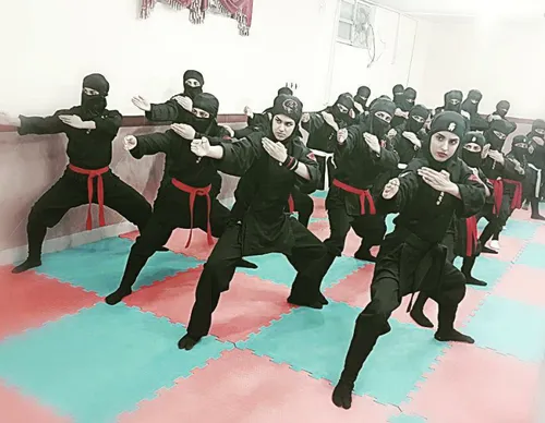 ninja renjer