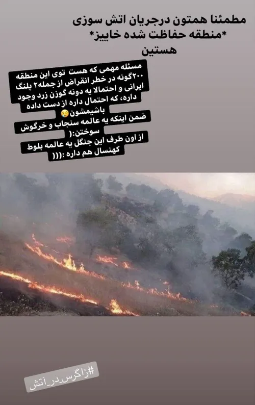 و حالا نوبت زاگرس ماست...🥺و عوامل انسانی دلیل اصلیشه...بی