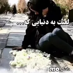 رسم زمونه همین شد یا باید دور باشی یا تو گور