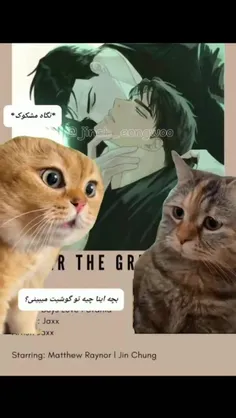 اینا داداشن😂😂😂😂