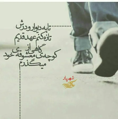 این طور بارم آورده بودند که بترسم. از همه چیز. از بزرگتر 