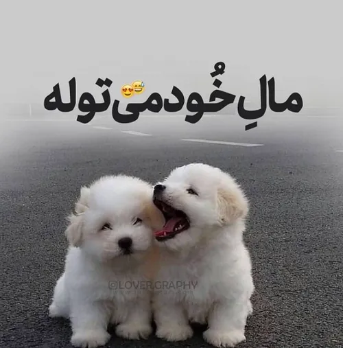 عاشقانه