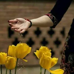 زندگے سازے است 🍃🌸