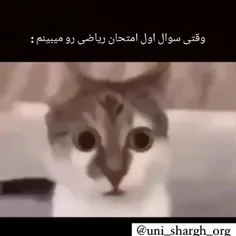 فالو یادت نره ❤️