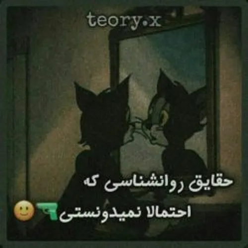 فکت های منطقی🙂🖌