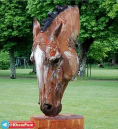 هنرنمایی با درخت خشک شده 🙄 🐴 