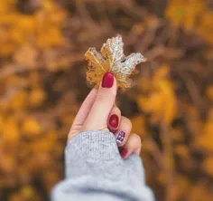 🍂🍁همه چیز می تواند بدون تو هم باشد