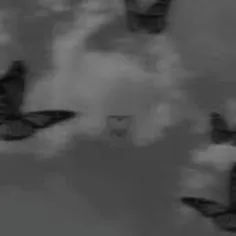 سلام زیبا!